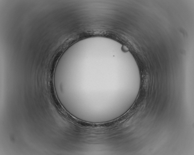 X0000111640643200907171039