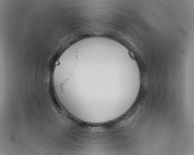 X0000111640645200907171039