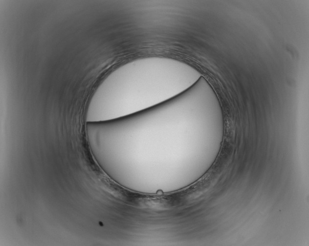 X0000111640652200907171039
