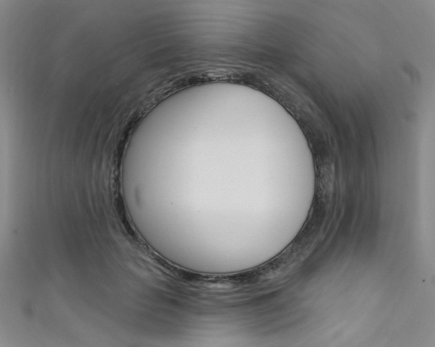 X0000111640653200907171039
