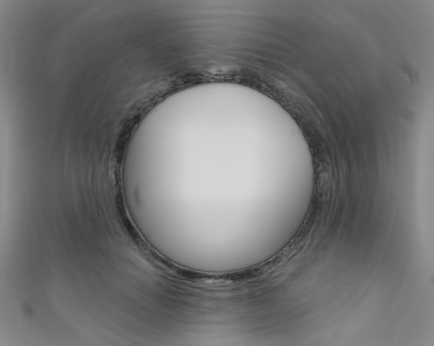 X0000111640654200907171039