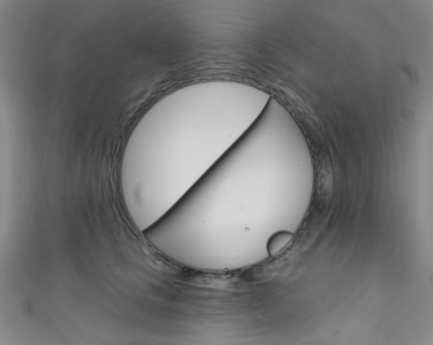 X0000111640661200907171039