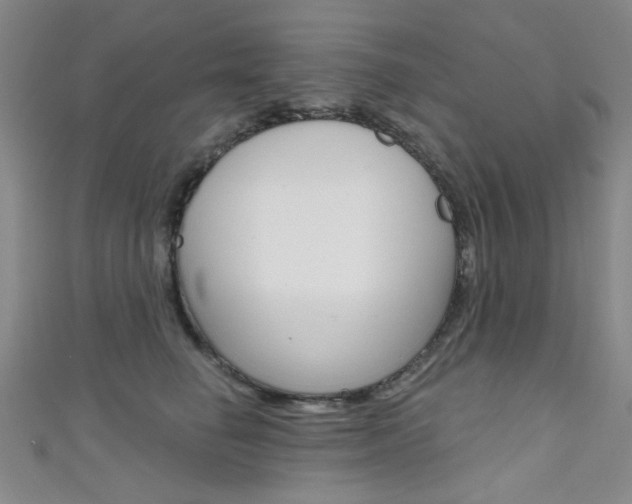 X0000111640662200907171039