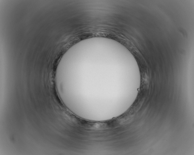 X0000111640663200907171039