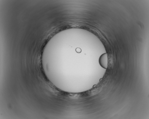 X0000111640667200907171039