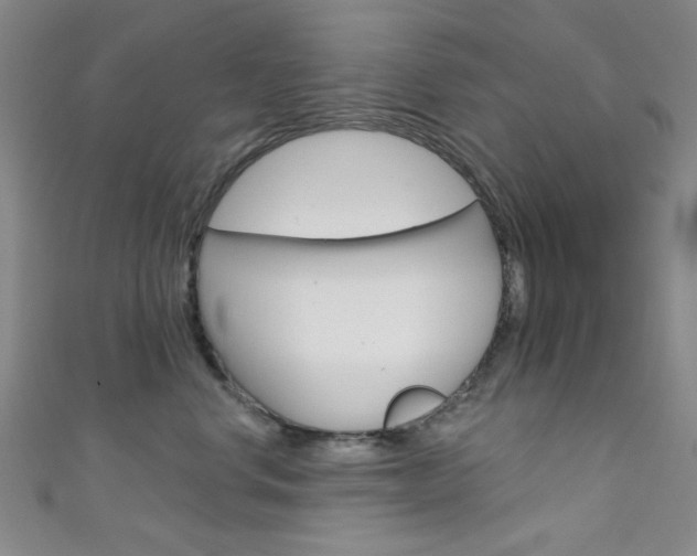 X0000111640668200907171039