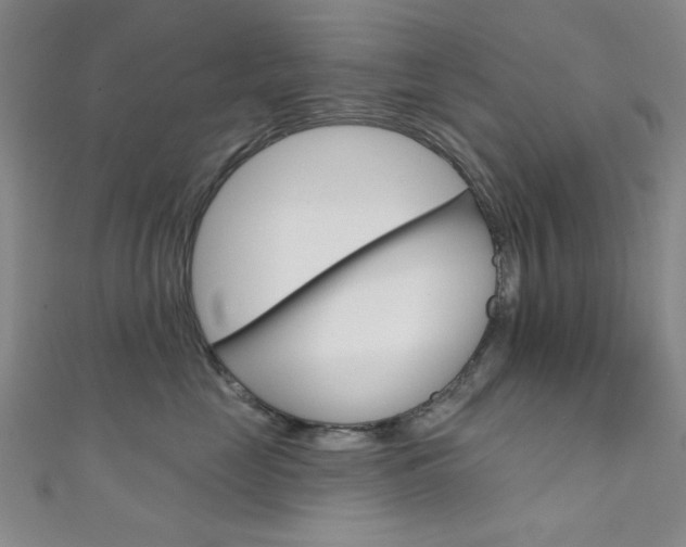 X0000111640669200907171039