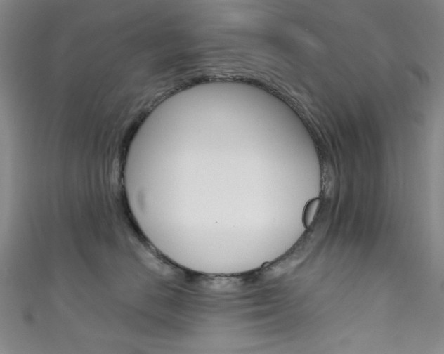 X0000111640670200907171039