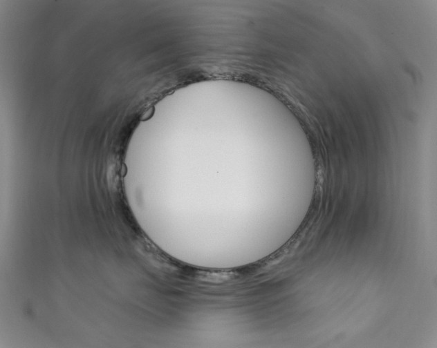 X0000111640671200907171039