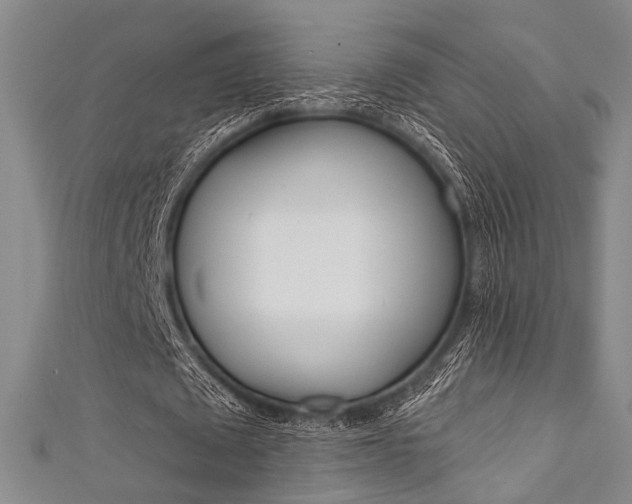 X0000111640673200907171039