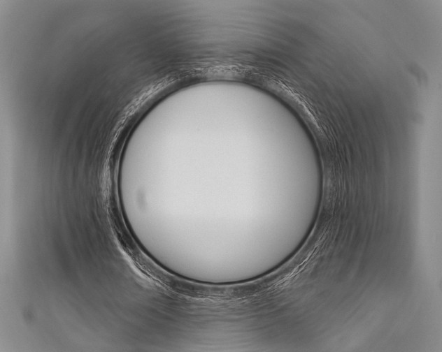 X0000111640674200907171039