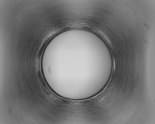 X0000111640675200907171039