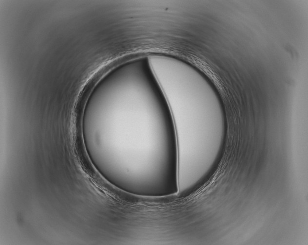 X0000111640676200907171039