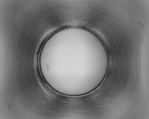 X0000111640678200907171039