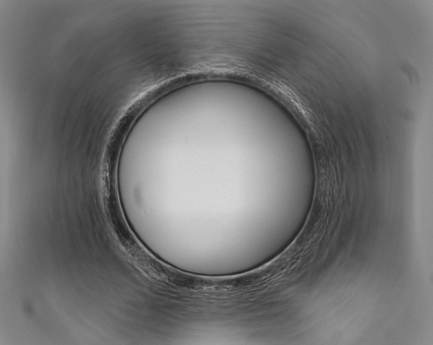 X0000111640680200907171038