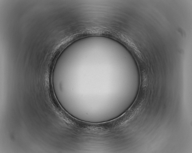 X0000111640681200907171038