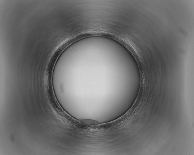 X0000111640684200907171038