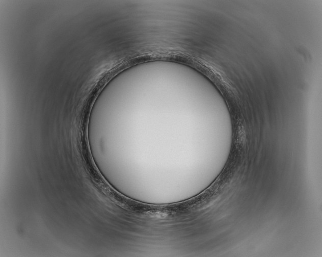 X0000111640687200907171038