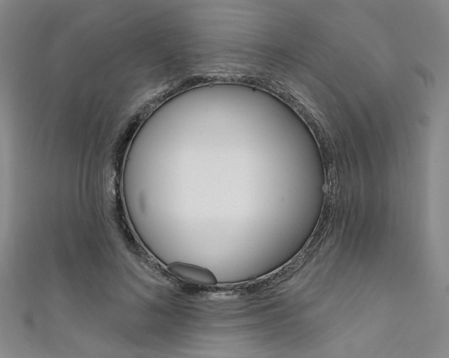 X0000111640692200907171038