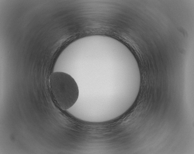 X0000111640693200907171038