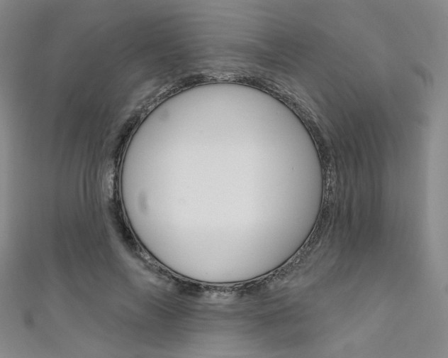 X0000111640694200907171038
