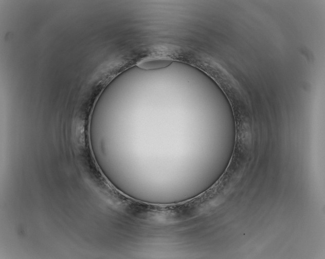 X0000111640696200907171038