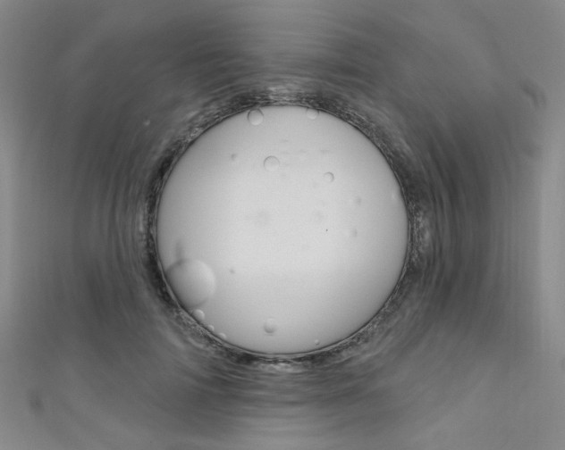 X0000111640698200907171038