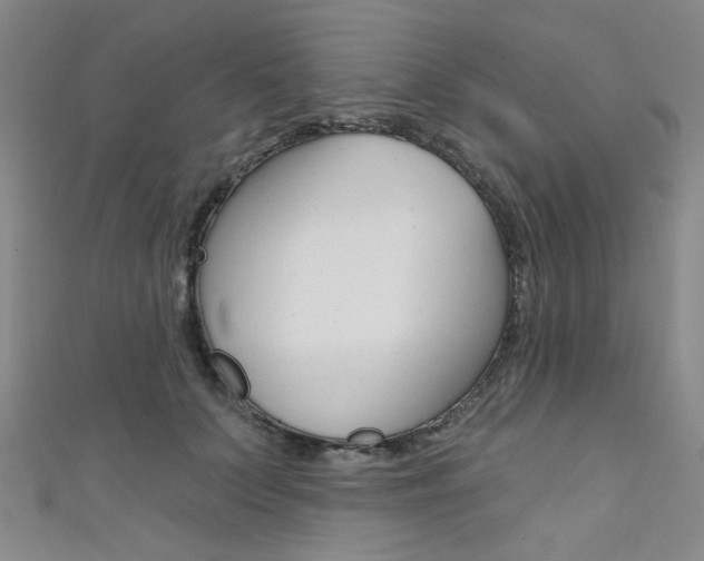 X0000111640703200907171038