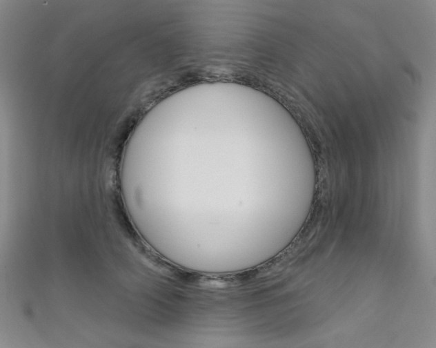 X0000111640706200907171038