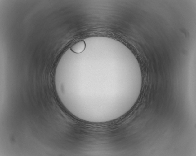 X0000111640708200907171038