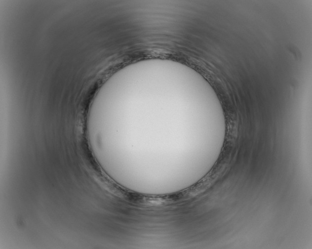 X0000111640710200907171038