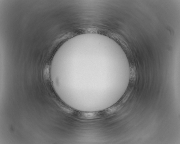 X0000111640717200907171038