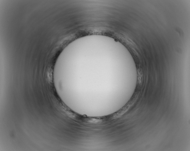 X0000111640718200907171038