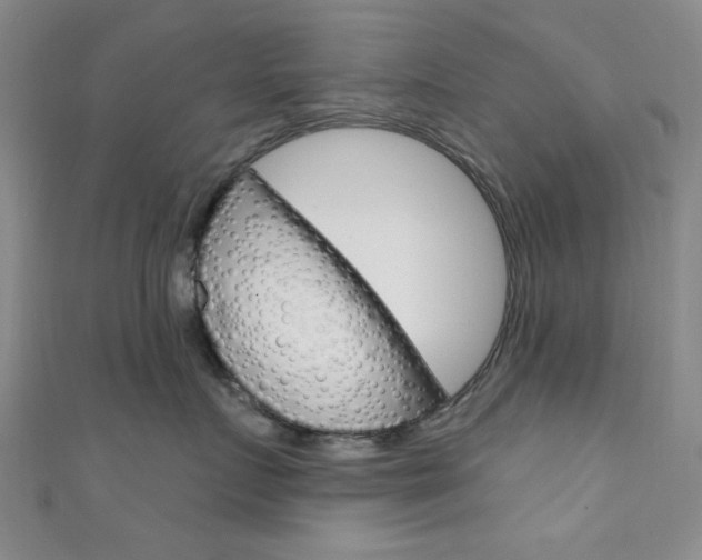 X0000111640719200907171038