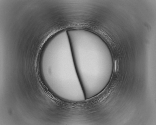 X0000111640723200907171037