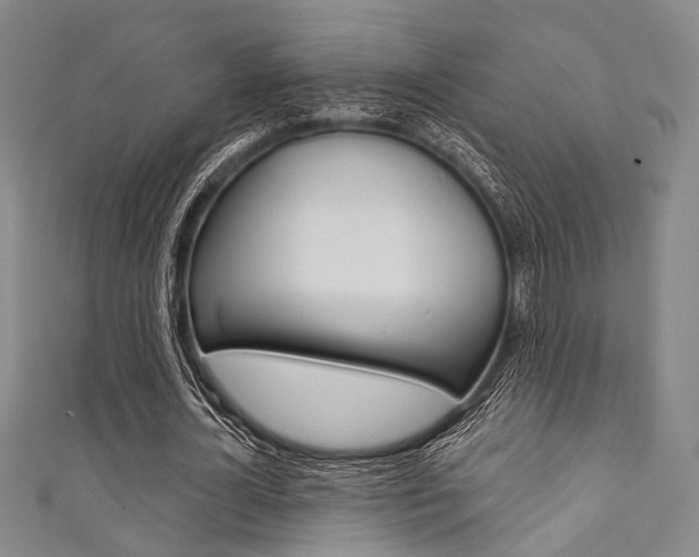 X0000111640724200907171037