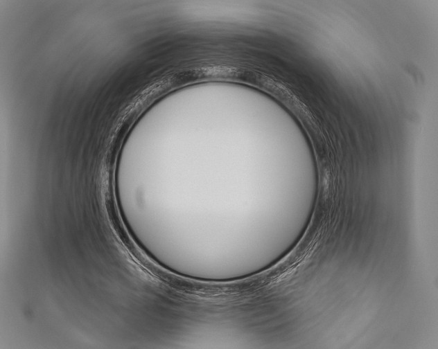 X0000111640725200907171037