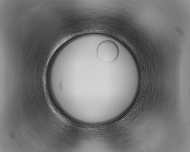 X0000111640726200907171037