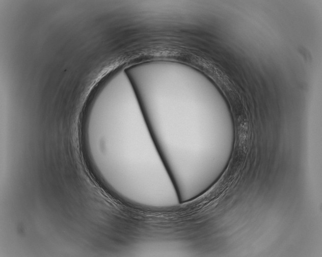 X0000111640727200907171037