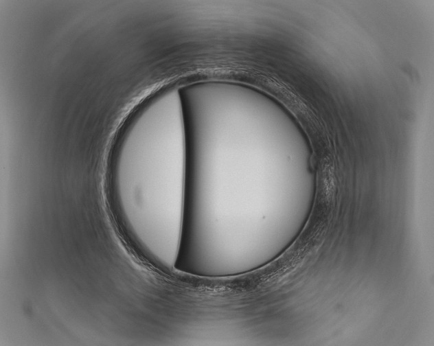 X0000111640728200907171037