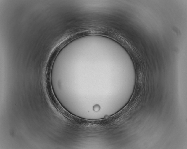 X0000111640730200907171037