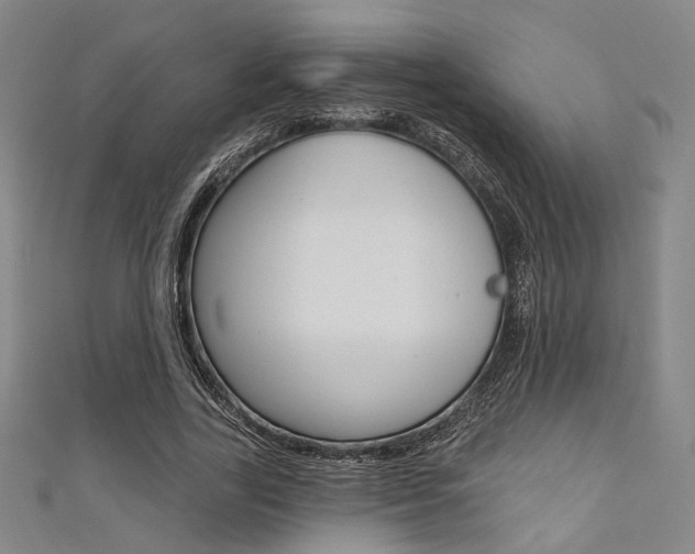 X0000111640731200907171037