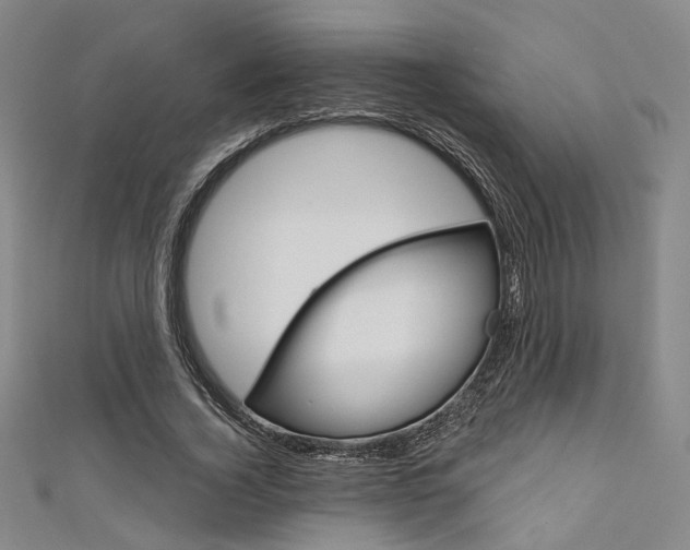 X0000111640732200907171038