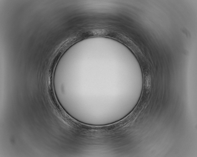 X0000111640733200907171038