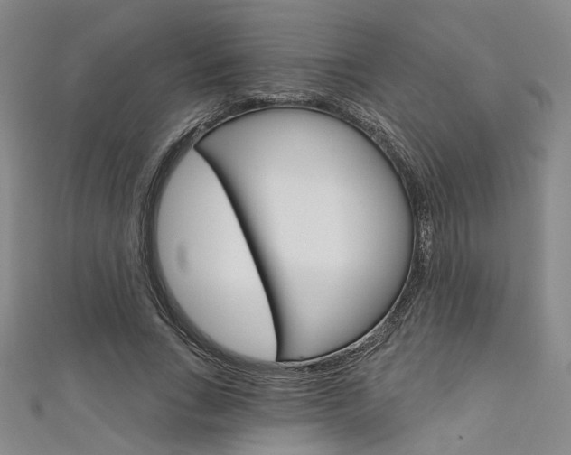 X0000111640735200907171038