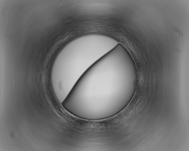 X0000111640736200907171038
