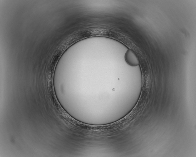 X0000111640737200907171038