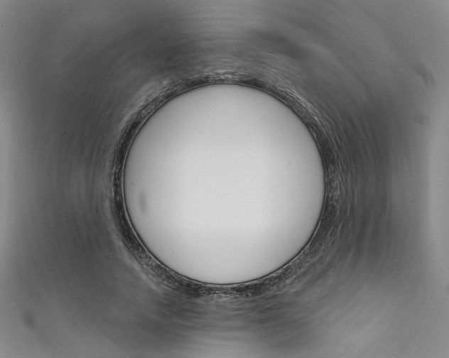 X0000111640738200907171038
