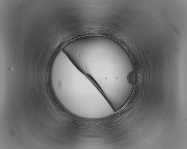 X0000111640739200907171038