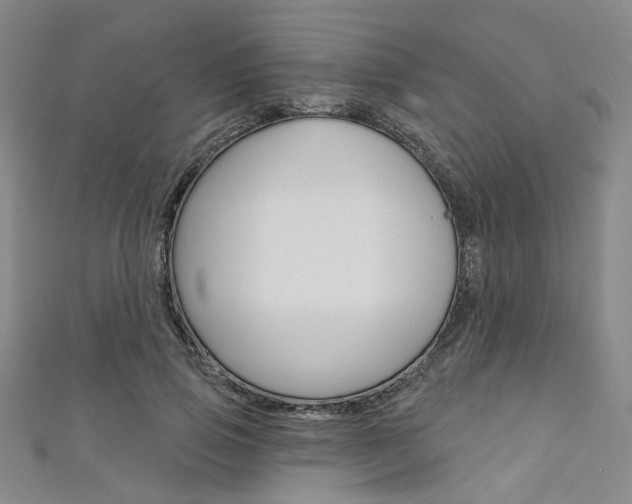 X0000111640741200907171038